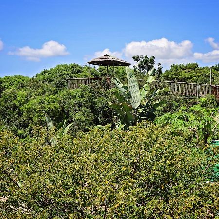 Kosi Bay Lodge Manguzi Exterior foto